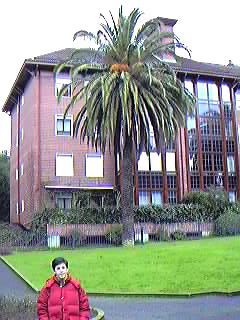 Zonas residenciales.