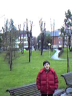 Zonas residenciales.