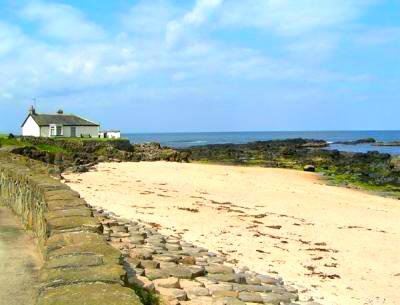 Uno de mis amores al fondo... 