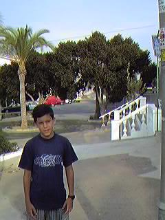 Urbanizaci�n Mil Palmeras.