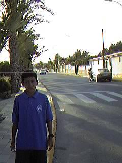 Avda. de Suecia. Urbanizacin Mil Palmeras.