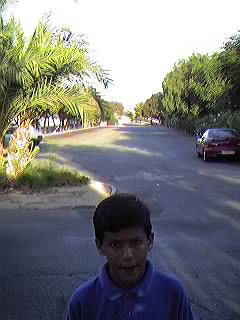 Urbanizaci�n Mil Palmeras.