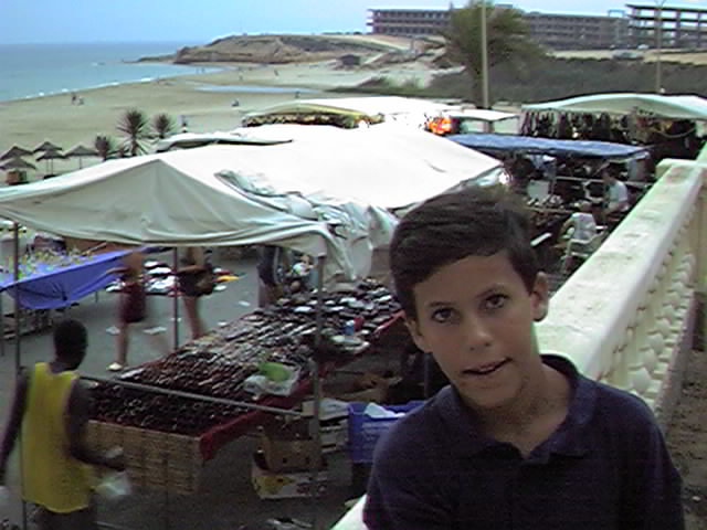 Mercadillo diario por la noche en el Paseo Riviera. Urbanizaci�n Mil Palmeras.