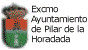 WEB DEL AYUNTAMIENTO. Tel: 96 5352225 / 96 5351008.