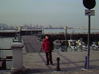 Embarcadero del muelle de Las Arenas.