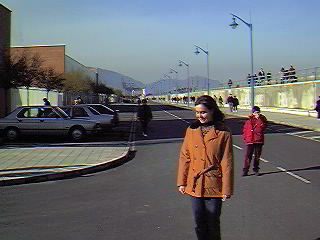 Hacia el final del muelle del Puerto Nuevo (zona privada).