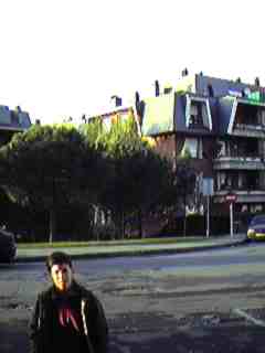 Zona residencial, El Pinar.