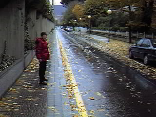 Desde aqu�, por la c/ Negubide, puedes dirigirte hacia la Plaza de la Estaci�n, en el centro de Las Arenas.