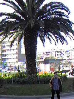 c/ Ganeta.